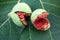 Two prematurely ripened figs, cracked, on the figs leaves