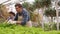 Two professional gardeners are caring for sprouts and seedlings in greenhouse, hands close-up.