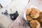 Two pug dogs in the kitchen observe a bowl of meatballs