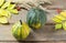 Two pumpkins with autumn leaves and rose hips on a wooden background.