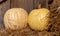 Two pumpkins with hay stacks, light yellow colour