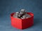 two puppies are in a box in the shape of a heart. Valentine day. Cute pets on a blue