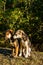 Two puppy brothers looking into the camera with a same posture in India standing on a grass field