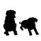 Two puppy sitting silhouettes