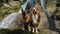 Two purebred dogs walking near waterfall in forest on warm sunny spring day. Mountain river and two Shepherds Australian