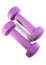 Two purple dumbells