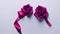Two purple roses ribbon on white background. Valentines day concept. Copy space