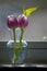 Two purple tulips in a small vase on a windowsill.