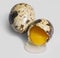 Two quail eggs