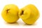 Two quince fruits Cydonia oblonga