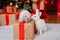 Two rabbits, a white albino and a lop-eared one, are sitting on the background of a Christmas tree
