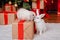 Two rabbits, a white albino and a lop-eared one, are sitting on the background of a Christmas tree