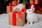 Two rabbits, a white albino and a lop-eared one, are sitting on the background of a Christmas tree