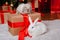 Two rabbits, a white albino and a lop-eared one, are sitting on the background of a Christmas tree