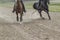 Two racehorses run along the sandy track