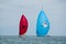 Two racing sailboats fly their spinnakers