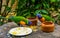 Two rainbow lorikeets eating food together, bird diet, Tropical animal specie from Australia