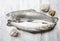 Two rainbow trouts and seashells on rustic wooden table