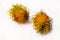 Two rambutans fresh and shaggy exotic fruit lies on a white background