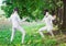 Two rapier fencer women fighting over beautiful nature