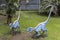 Two Raptors at Kuoloa Ranch, Oahu