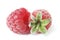 Two raspberries fruits