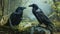 Two ravens in silent conversation, surrounded by moss-covered stones and misty forest backdrops.