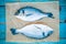 Two raw dorada fishes