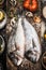 Two raw dorado fishes on wooden background with cooking ingredients, top view. Seafood