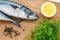 Two raw mackerels, fresh dill, black peppercorns and lemon on a brown wooden cutting board. Seafood, healthy eating and cook at