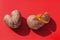 Two raw potatoes in the shape of a heart together on a red background, one potato is cut open Potato love story. history 4. Copy