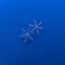 Two real macro snowflakes on a blue background.