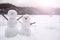 Two real tiny, little snowman in nature in snowy, cold day in mountains