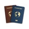 Two realistic international passports ID. Passport for identification person. Travelling concept