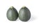 Two realistic looking globe or eight ball squash or zucchini or round courgette - cucurbita pepo - isolated white background