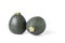 Two realistic looking globe or eight ball squash or zucchini or round courgette - cucurbita pepo - isolated white background