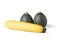 Two realistic looking globe or eight ball squash or zucchini or round courgette  and a yellow courgette - cucurbita pepo -