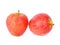 Two red apple(sonya) with drop of water isolate on white