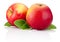 Two red apples fruits and green leaves isolated