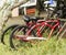 Two red bikes parked in the tall grass at a beach house