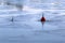 Two Red Buoys on Top of the Surface of Mostly Frozen Baltic Sea