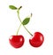 Two red cherries