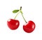 Two red cherries