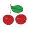 Two red cherries with a green leaf. illustration with stroke. Ripe fruit berry cherry, cute simple childish design