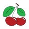 Two red cherries outlined in dark outline hand drawing clip art. Paired cherries, two green leaves and a branch of a cherry tree.