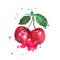 Two red cherries are splashed with watercolors on a white background. Bright sweet color. Sweet fruit.