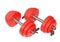 Two red dumbbells. Isolated