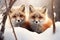 Two red foxes in the snow in winter forest, closeup, two small cute foxes in the snow,illustration,animals in the snow, AI