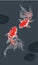 Two red golden fish on black background vertical