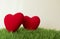 Two red hearts on the island of green grass